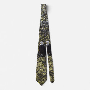 Eagle Lookout Painterly Neck Tie Slips