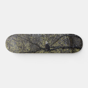 Eagle Lookout Painterly Skateboard Bräda 20,5 Cm