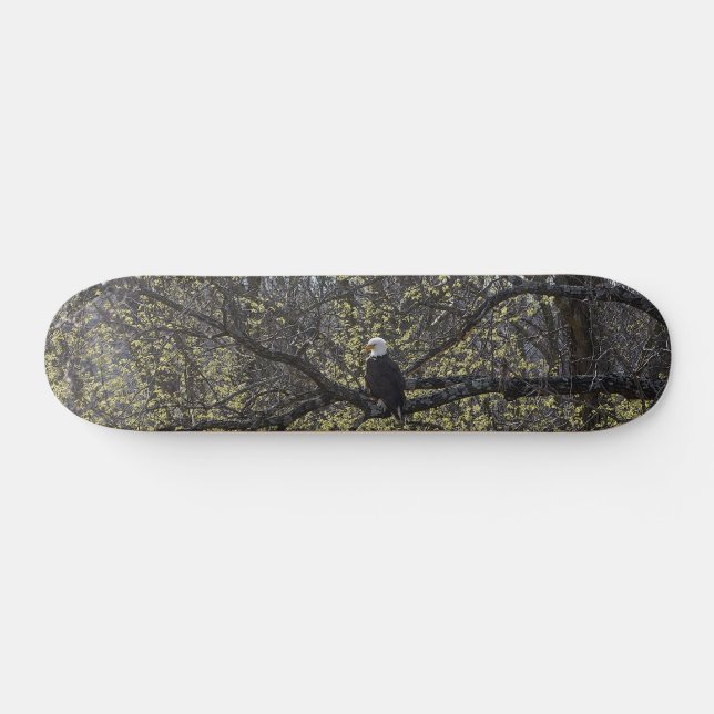Eagle Lookout Painterly Skateboard Bräda 20,5 Cm (Horz)