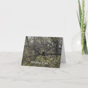 Eagle Lookout Painterly Thinking Card Kort