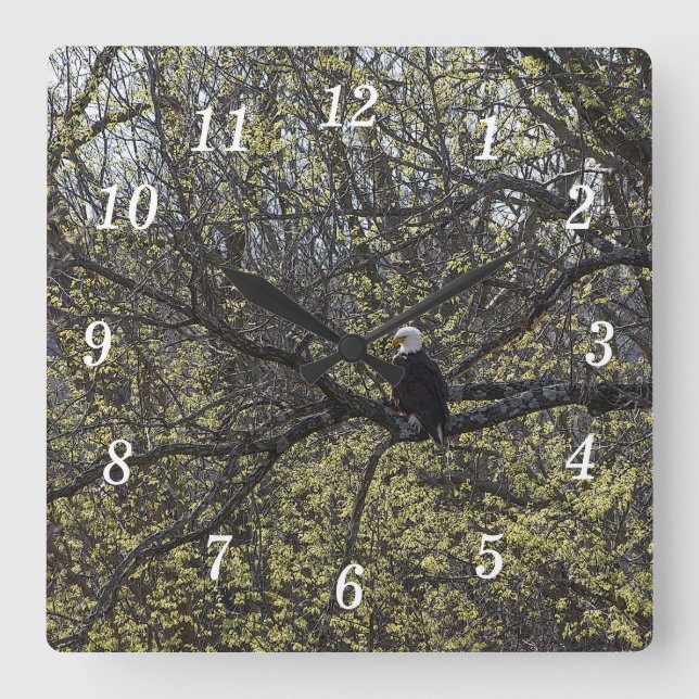 Eagle Lookout Painterly Wall Clock Fyrkantig Klocka (Framsida)