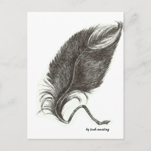 Eagle-ludd Vykort