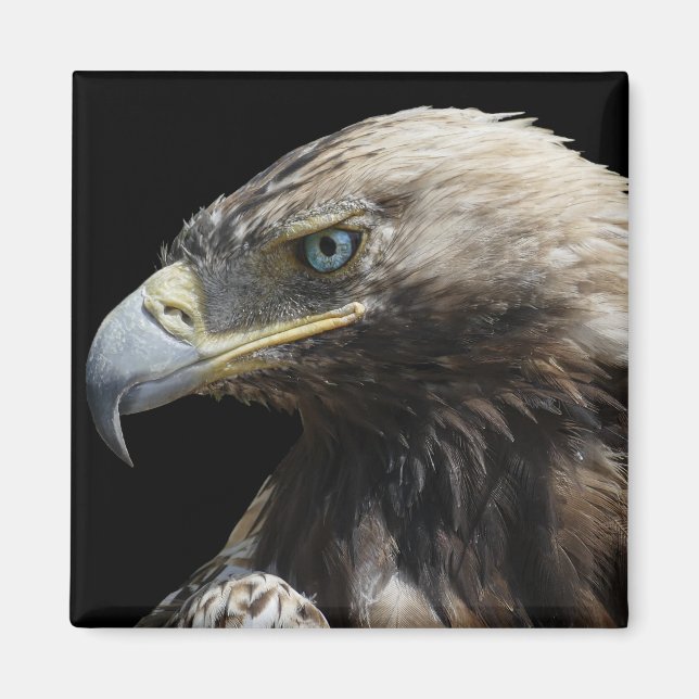 Eagle Magnet (Framsidan)