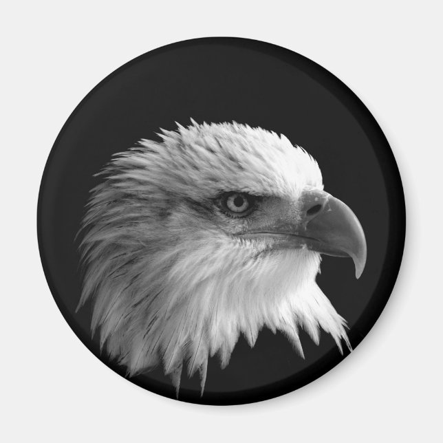 Eagle Magnet (Framsidan)