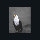 Eagle-minimalistisk selektiv fotografi av Färg Canvastryck<br><div class="desc">Eagle Minimalist Black and White Porträtt Seltive Färg Photography KANVASTRYCK</div>