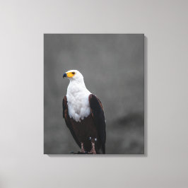 Eagle-minimalistisk selektiv fotografi av Färg Canvastryck
