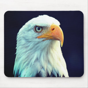 Eagle Musmatta