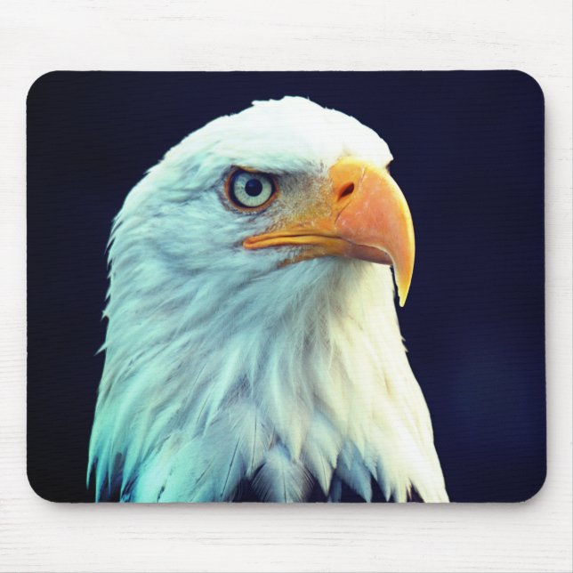 Eagle Musmatta (Framsidan)