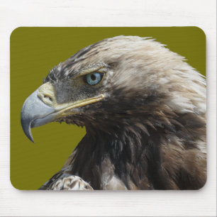 Eagle Musmatta