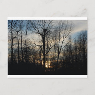 Eagle Nest Sunset Vykort