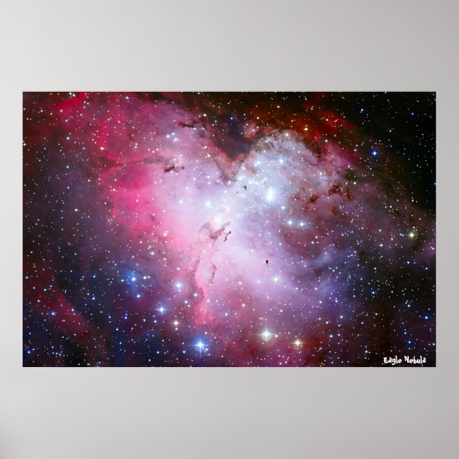 Eagle Nubla Poster (Framsidan)