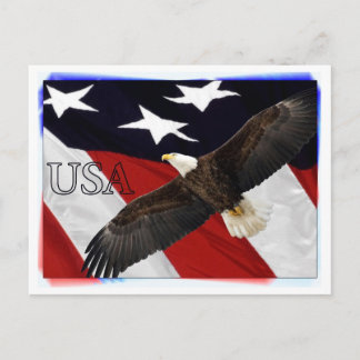 Eagle och American Flagga USA Vykort