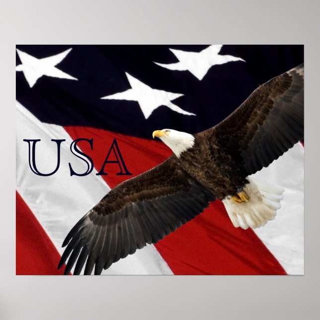 Eagle och amerikansk Flagga Poster (Framsidan)