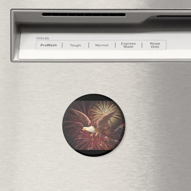 Eagle och Fireworks Magnet (In Situ (Dishwasher))