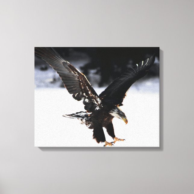 Eagle och Ice Canvastryck (Framsida)