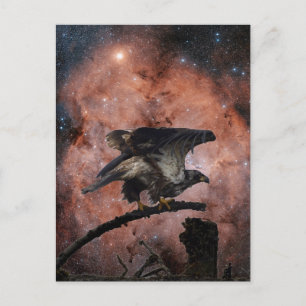 Eagle- och Rymden-gåvor Vykort