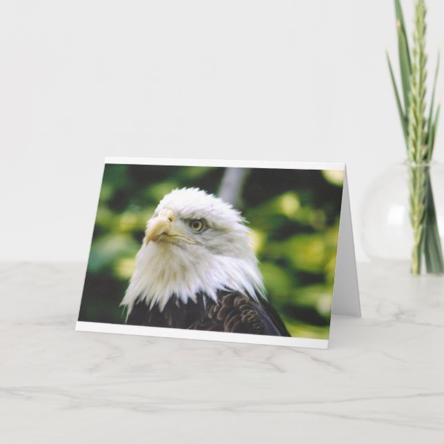 Eagle Öga Kort (Framsida)