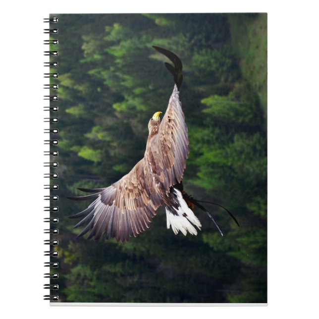 Eagle Öga View Anteckningsbok Med Spiral (Framsidan)