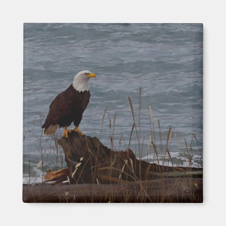 Eagle på South Beach Magnet