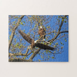 Eagle Pair Pussel