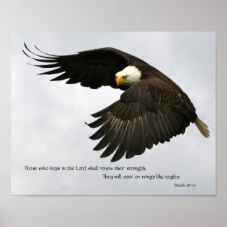 Eagle Photo med Bible Verse Poster