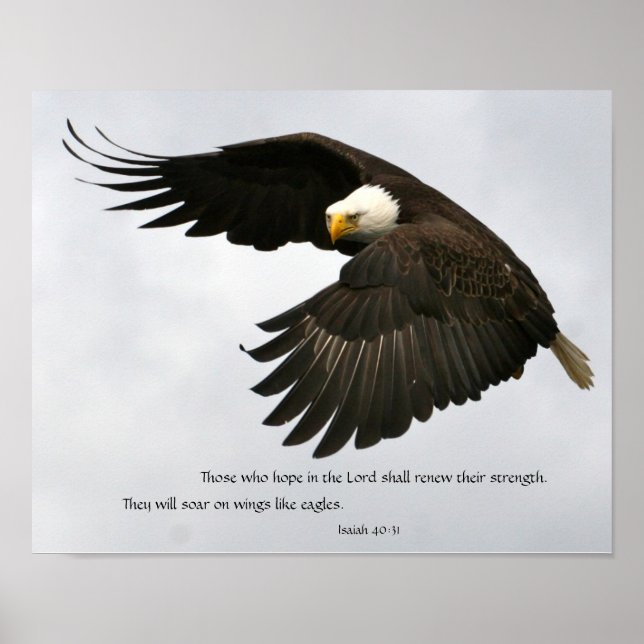 Eagle Photo med Bible Verse Poster (Framsidan)