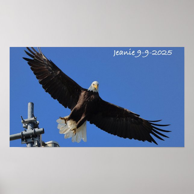 Eagle Poster (Framsidan)