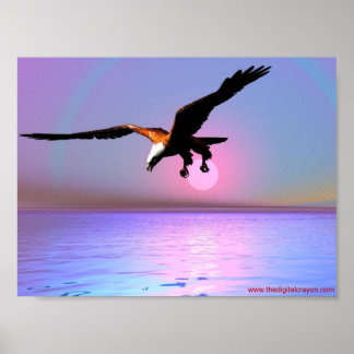 Eagle Poster