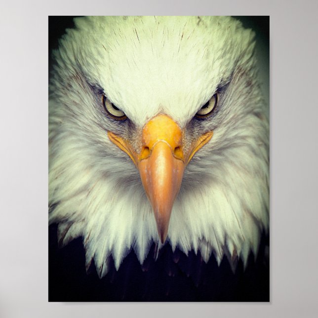 Eagle Poster (Framsidan)