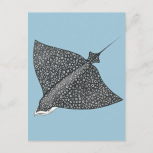 Eagle Ray Vykort