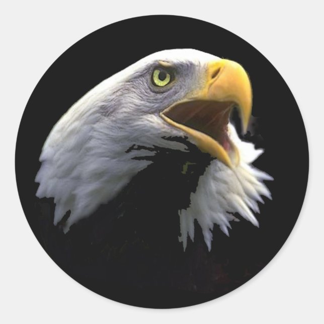 Eagle Runt Klistermärke (Framsida)