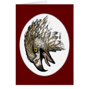 Eagle Screaming OBS Kort
