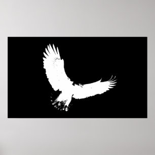 Eagle Silhouette Poster Skriv ut Örn under flygnin