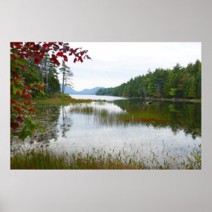 Eagle Sjö och Red Maple Löv II Poster