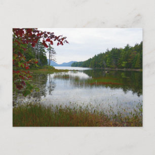 Eagle Sjö och Red Maple Löv II Vykort