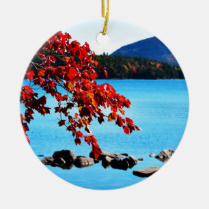 Eagle Sjö Ornament