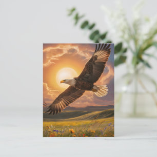 Eagle Soaring Sunset Vykort