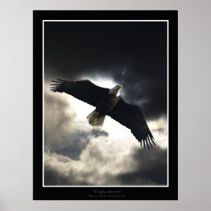 "Eagle Storm" Poster