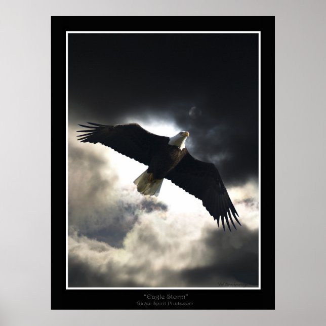 "Eagle Storm" Poster (Framsidan)