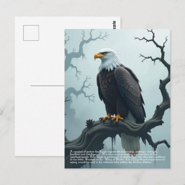 Eagle Symbolism Vykort (Fram/baksida)