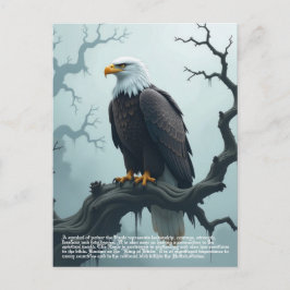 Eagle Symbolism Vykort