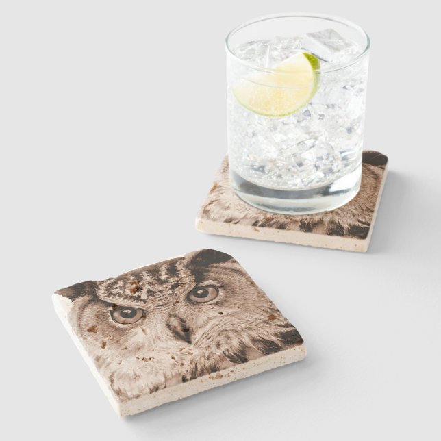 Eagle Uggla bra  art vattenfärg underlägg (Sidan)