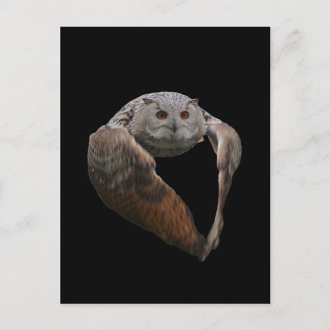 Eagle Uggla vykort (Framsida)