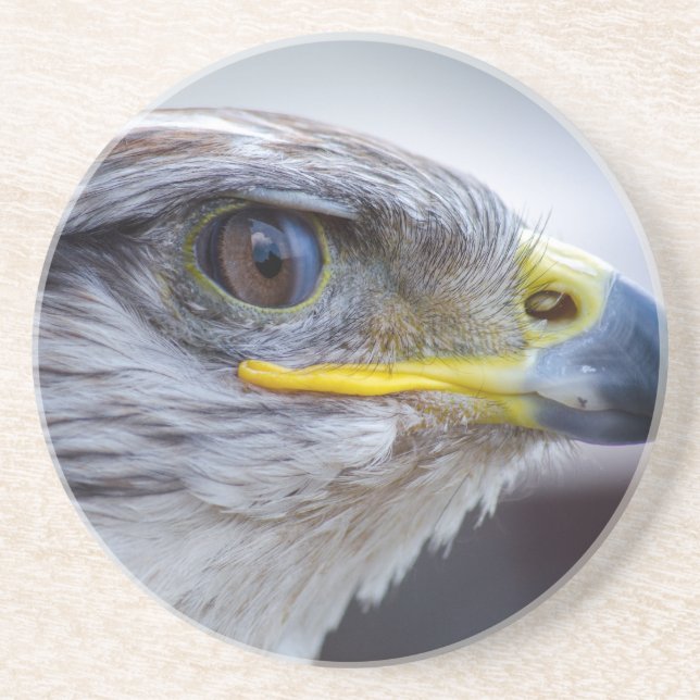 Eagle Underlägg Sandsten (Framsidan)