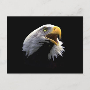 Eagle Vykort