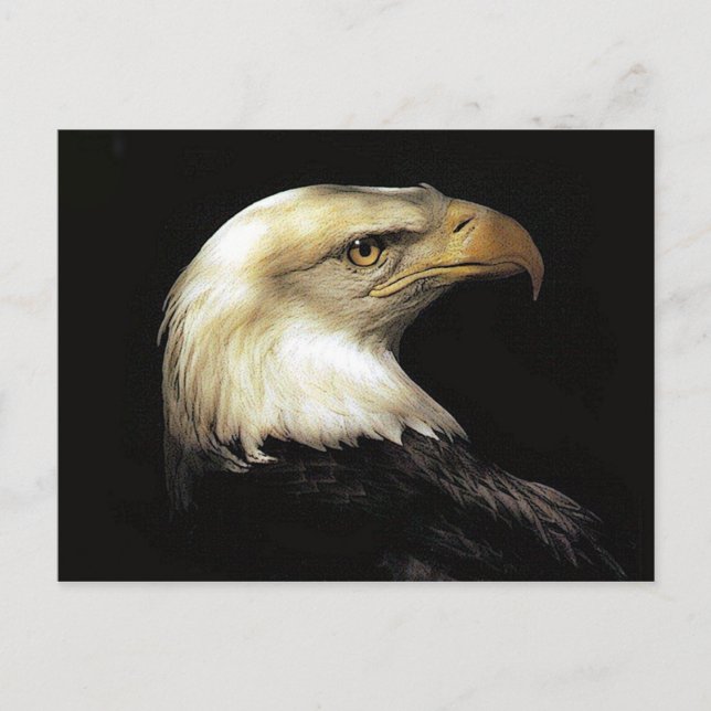 Eagle Vykort (Framsida)