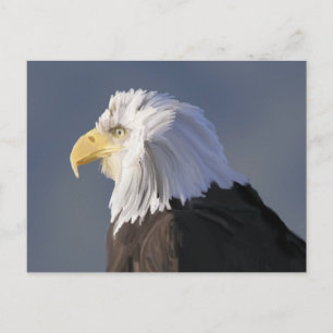 Eagle-vykort Vykort