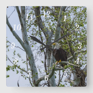 Eagle Watch Out Wall Clock Fyrkantig Klocka