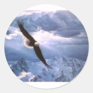 Eagle Weathers the Storm Runt Klistermärke