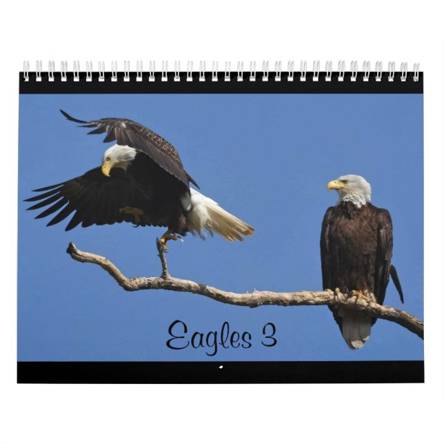 Eagles 3 kalender (Omslag)